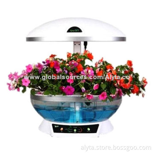 New Fish Tank with Simple Table Lamp Lighting Aquarium, Home Decoration Picture, 55W Power